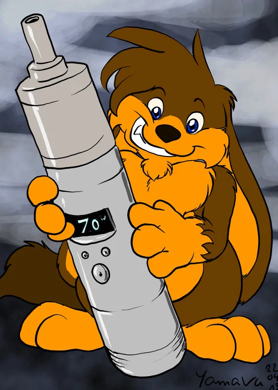 sk-130422-vape2.jpg