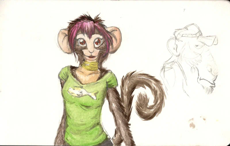 fishi-ape.jpg