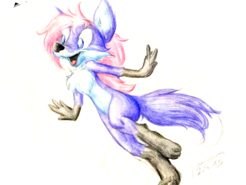 Blue Foxy Colored
