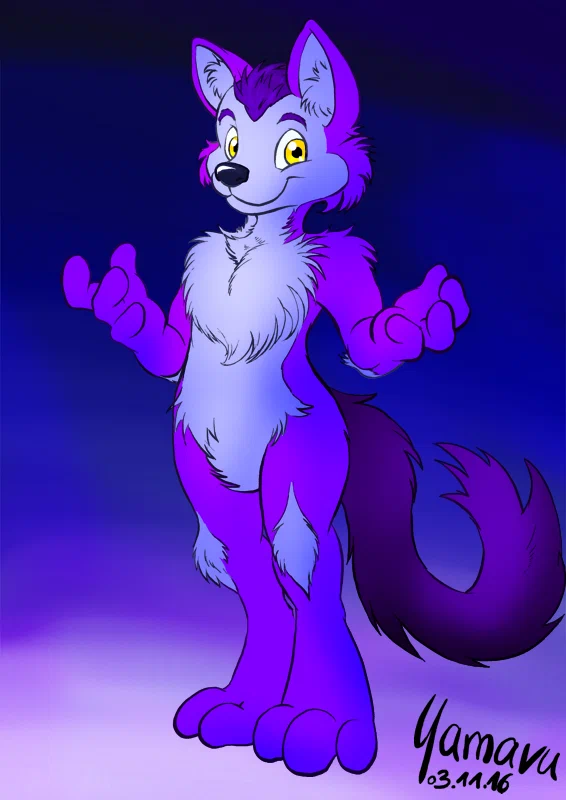 cat.png
