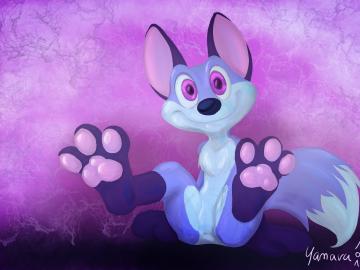 Random Fox Paws