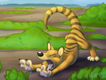 yaaaaawn Thylacine