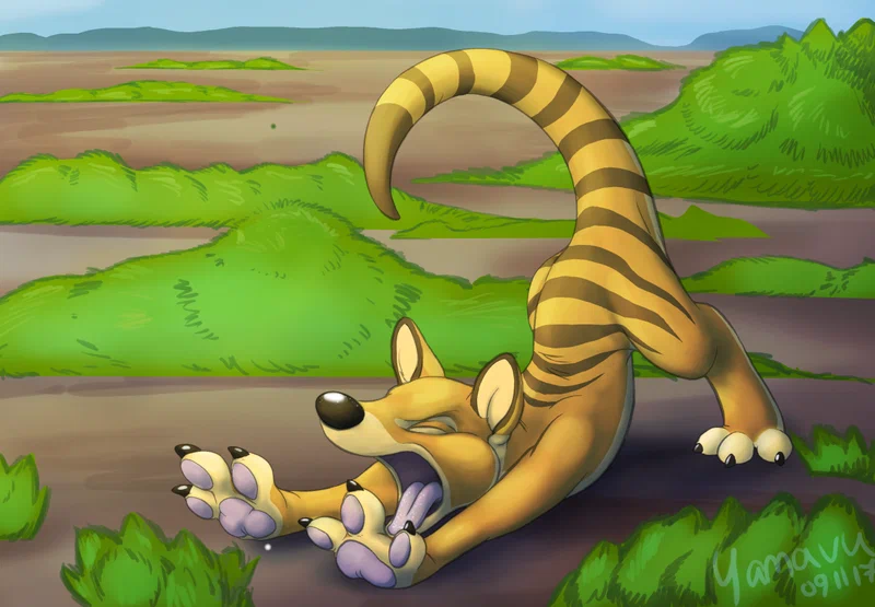 thylacine.png
