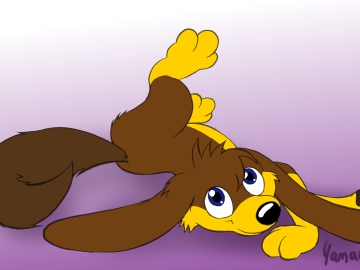 Dog Gravity