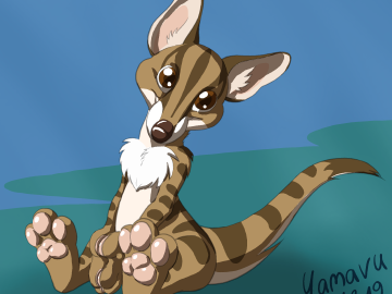 banded palm civet