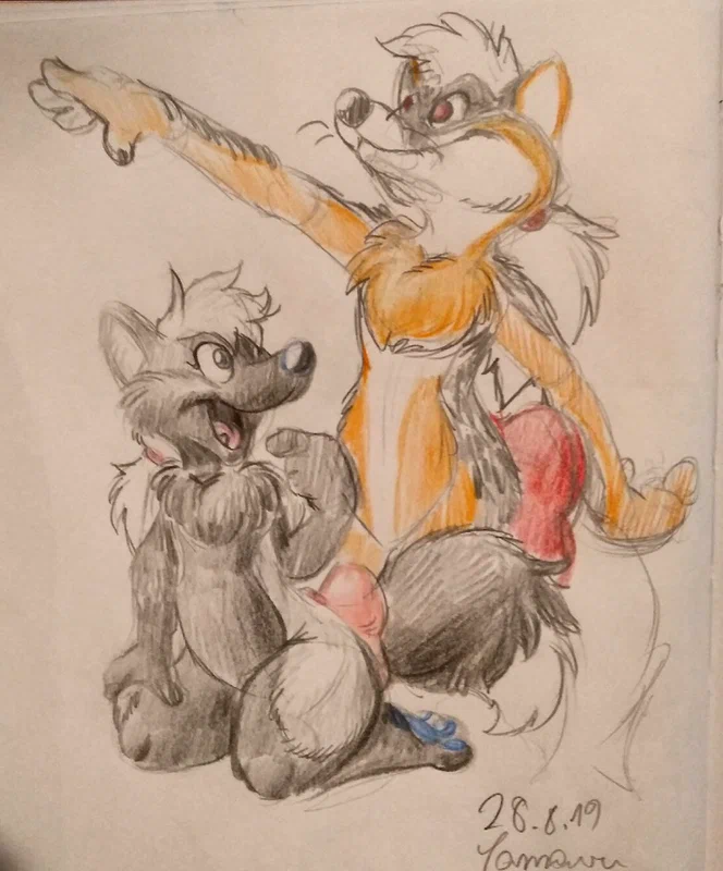 fox-markings.jpg