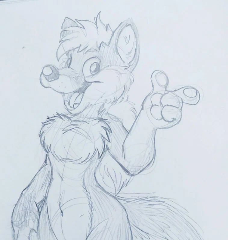 fox.jpg