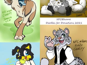 NFCatHome Doodles for Donations